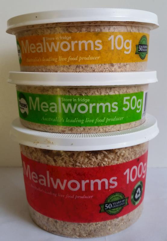Mealworms 100gm Powells' Stockfeeds