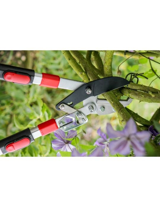 Darlac Telescopic Ratchet Loppers Powells' Stockfeeds