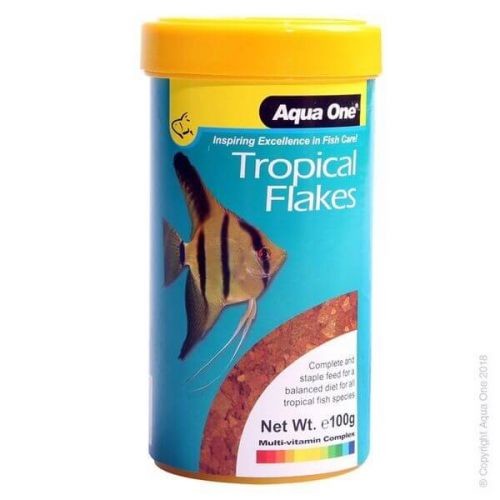 aqua tropical fish