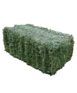 Lucerne Hay Bale